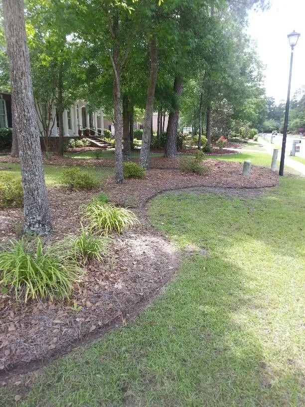 Top-rated lawn care service for year-round maintenance in North Charleston, SC by Jon's Lawns