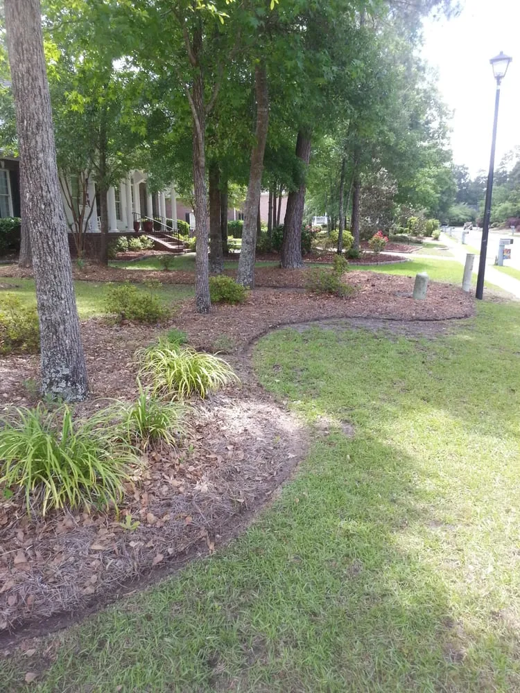 Affordable landscape design in North Charleston, SC - Jon's Lawns