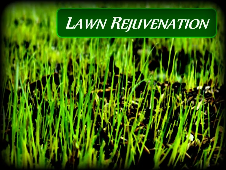 Expert landscaping services experts serving Annapolis, MD - Jon's Lawns of Annapolis