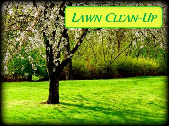 Local lawn mowing service in Annapolis, MD - Jon's Lawns of Annapolis