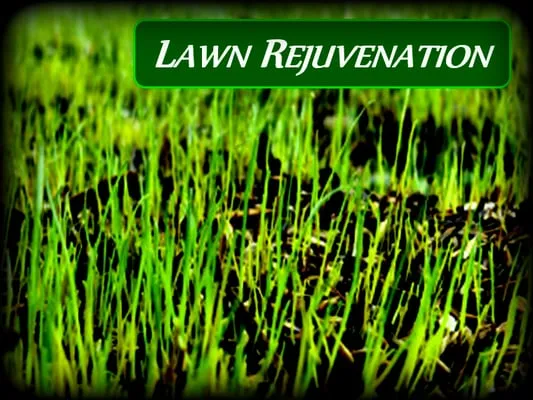 Jon's Lawns of Annapolis Logo