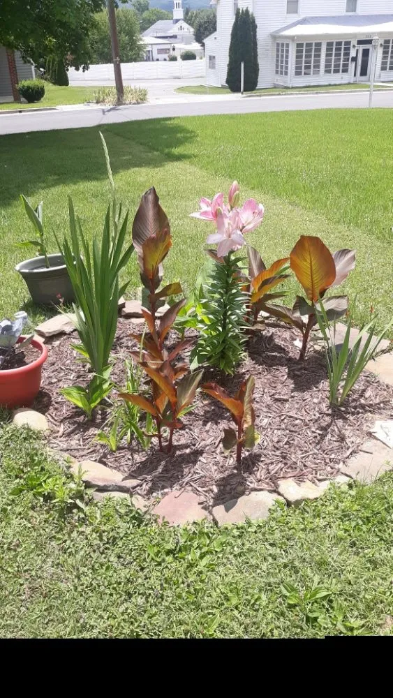 Reliable yard maintenance in Wytheville, VA - Jon's Lawns