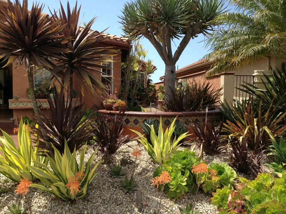 Custom lawn care service for outdoor upgrades in Mission Viejo, CA by Jon's Masonry & Landscape