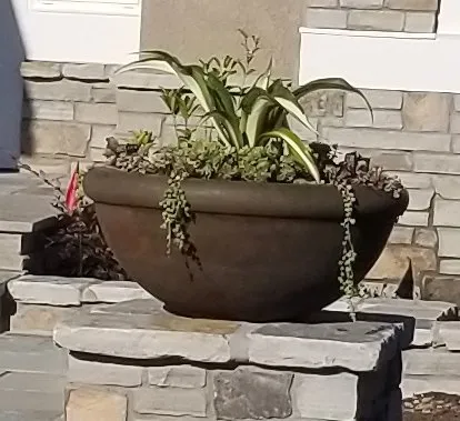 Reliable yard cleanup service for outdoor upgrades across Mission Viejo, CA - Jon's Masonry & Landscape