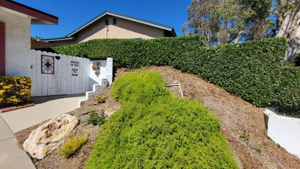 Trusted yard cleanup service experts serving Port Hueneme, CA - Jon's Quality Services