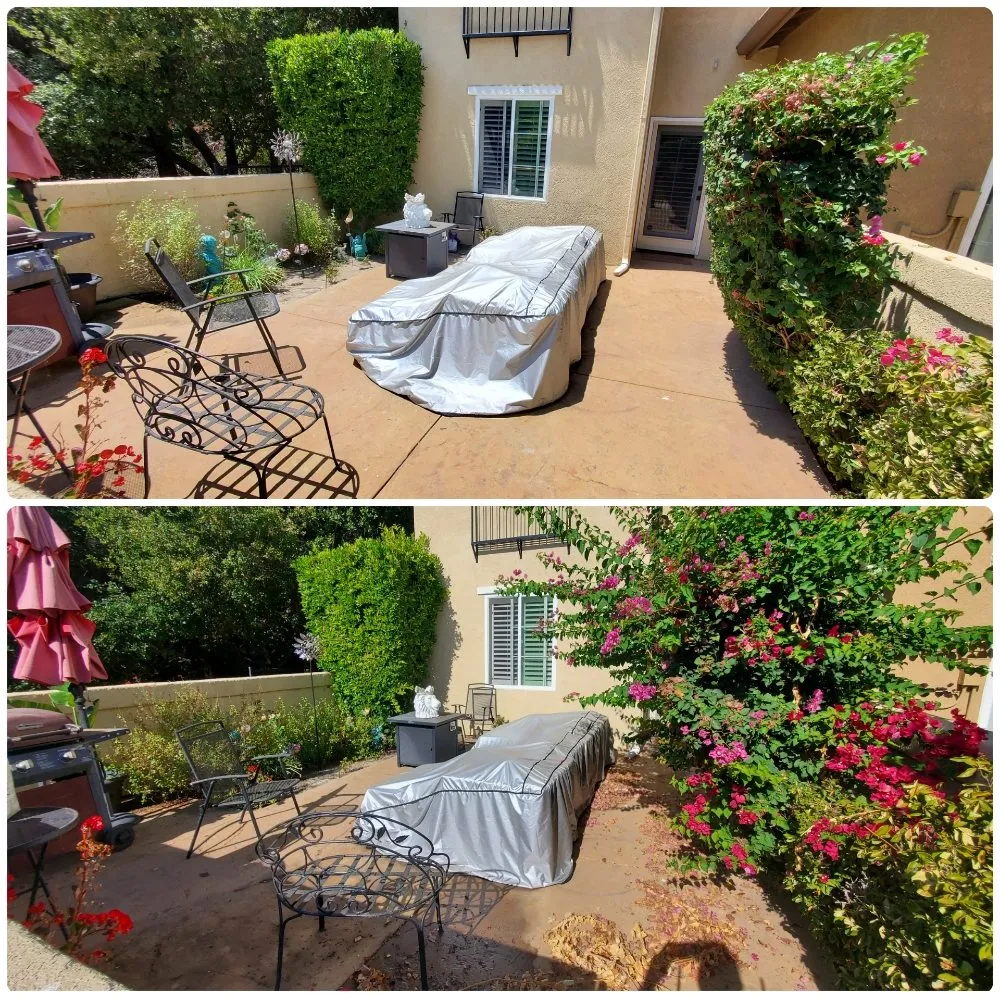 Reliable yard cleanup service experts serving Port Hueneme, CA - Jon's Quality Services