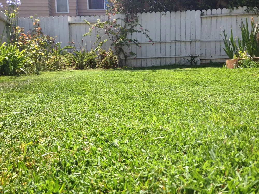 Top-rated yard cleanup service in Port Hueneme, CA - Jon's Quality Services