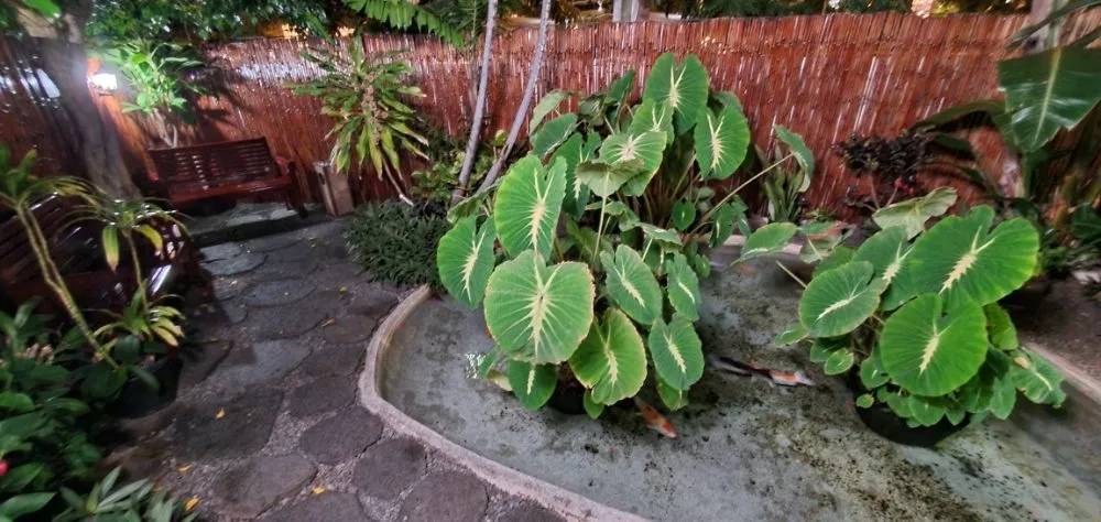 Trusted outdoor landscaping experts serving Port Hueneme, CA - Jon's Quality Services