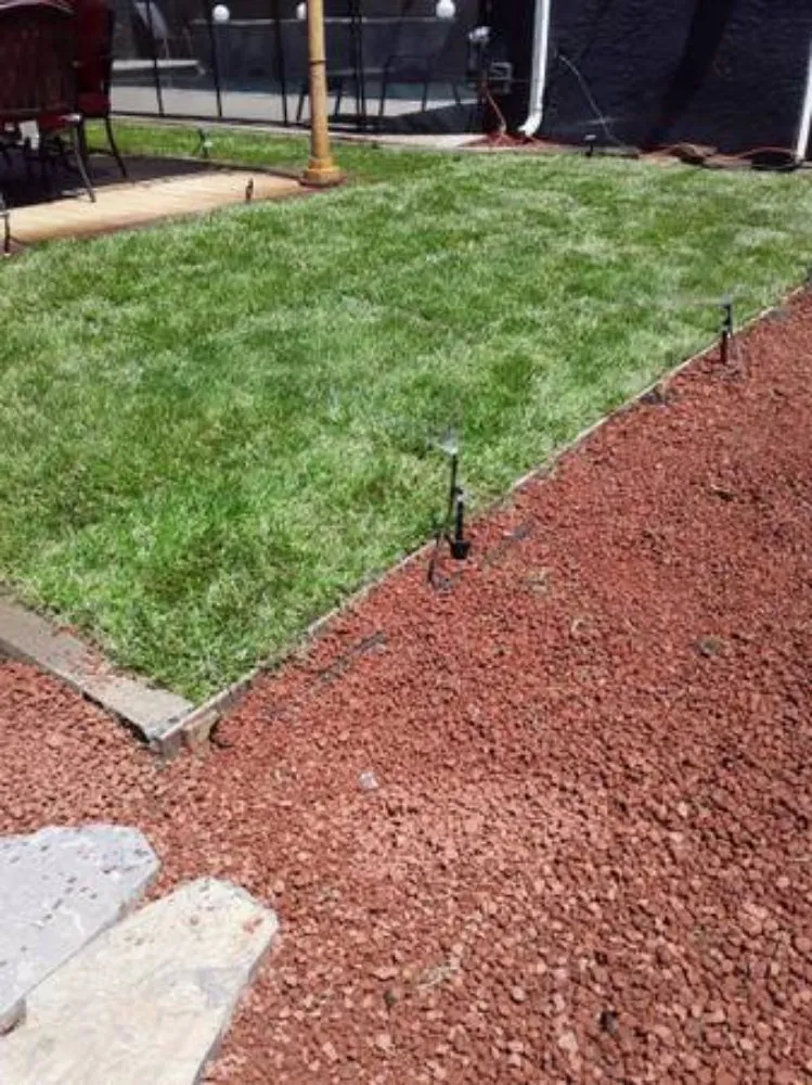 Expert yard maintenance for homes in San Jose, CA by Jon's Yard Clean Up Service & More