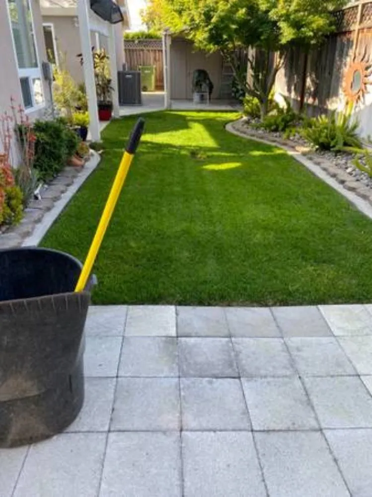 Top-rated lawn care service in San Jose, CA - Jon's Yard Clean Up Service & More