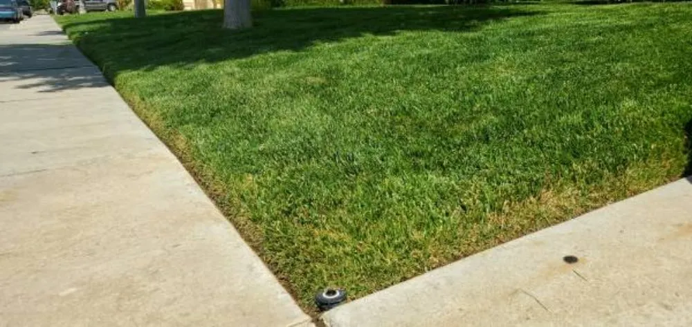 Trusted yard maintenance with custom design across San Jose, CA - Jon's Yard Clean Up Service & More