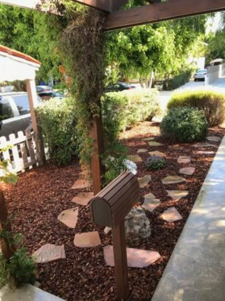 Professional landscaping services for year-round maintenance across San Jose, CA - Jon's Yard Clean Up Service & More