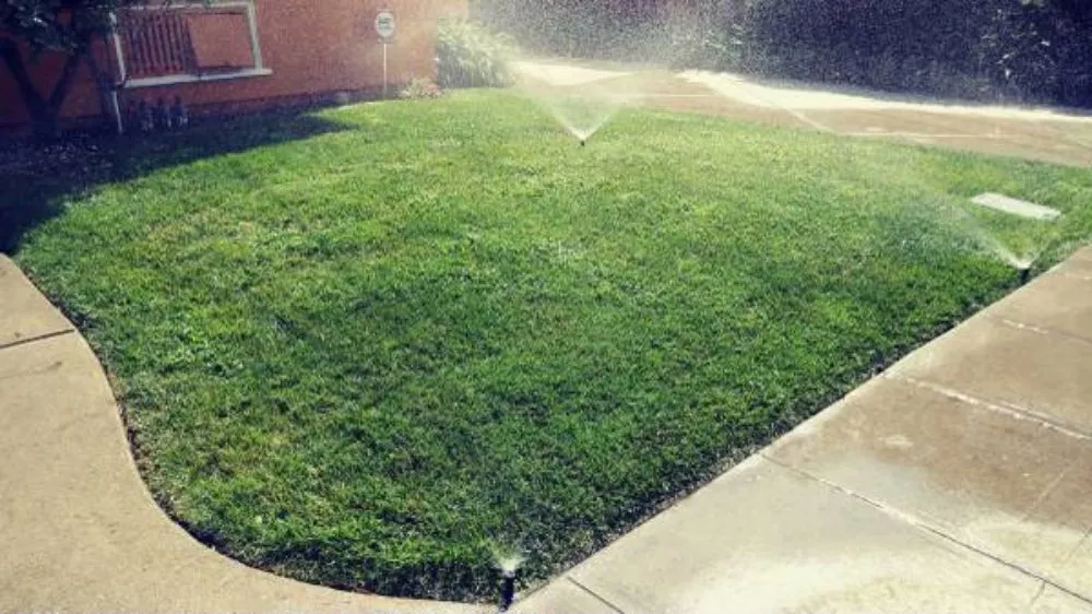 Custom garden landscaping experts serving San Jose, CA - Jon's Yard Clean Up Service & More