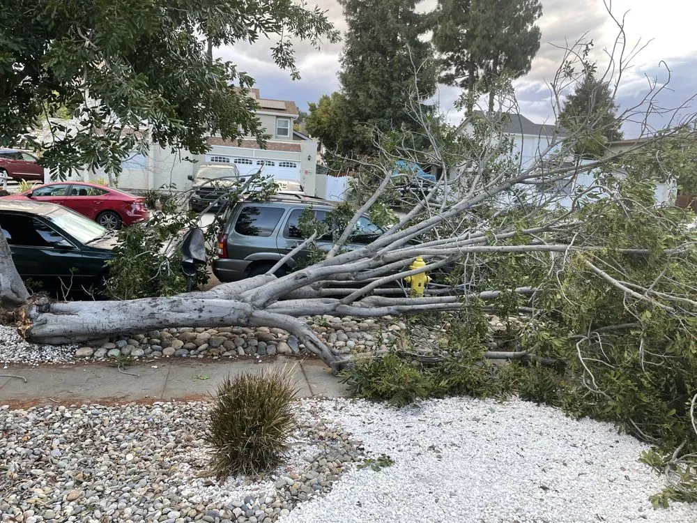 Custom outdoor landscaping in San Jose, CA - Jon's Yard Clean Up Service & More