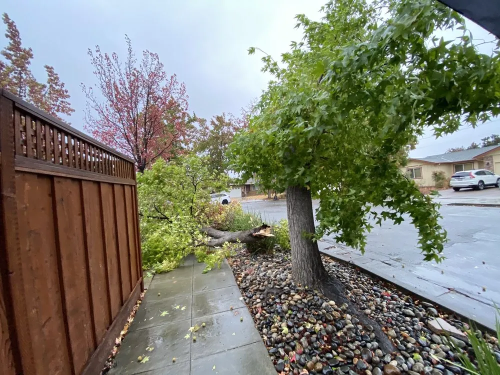 Professional landscaping services with custom design across San Jose, CA - Jon's Yard Clean Up Service & More