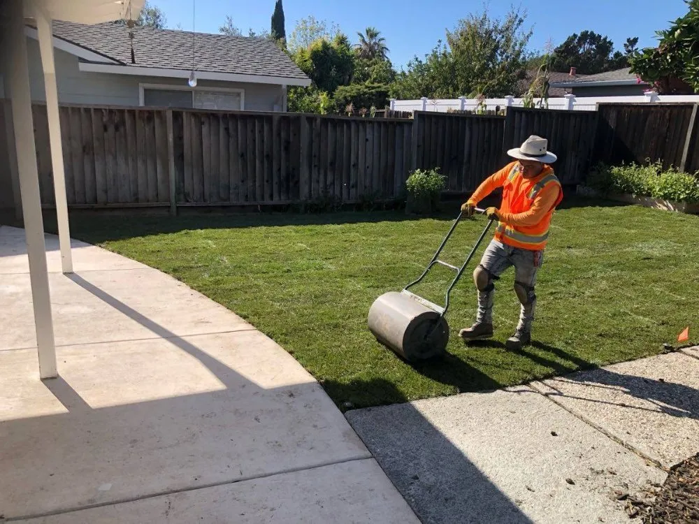 Professional landscaping services for beautiful yards across San Jose, CA - Jon's Yard Clean Up Service & More