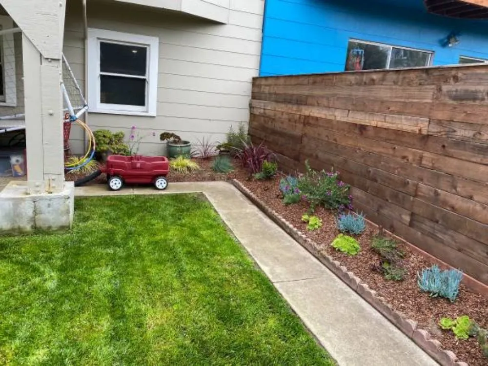 Reliable yard maintenance for residential properties across San Jose, CA - Jon's Yard Clean Up Service & More