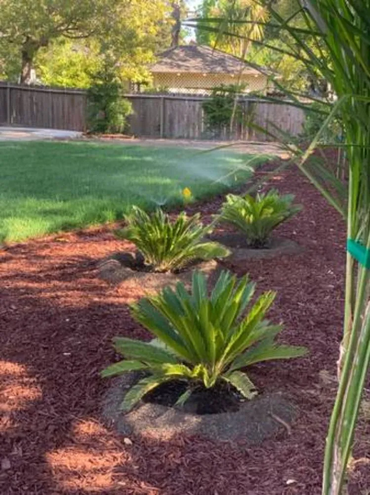 Reliable yard maintenance in San Jose, CA by Jon's Yard Clean Up Service & More