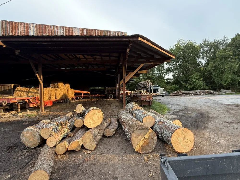 Affordable landscaping services for residential properties across Clinton, TN - JonseyBoys