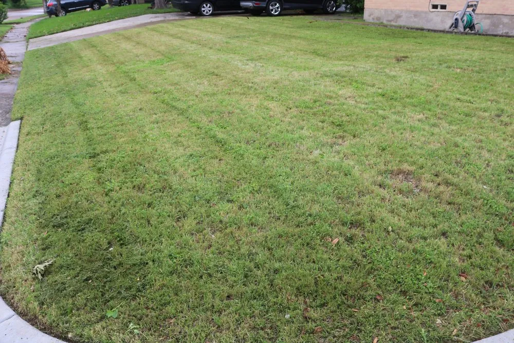 Affordable garden landscaping in Frisco, TX by Joppa Landscaping