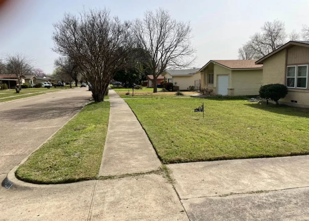 Expert landscaping services near you in Frisco, TX by Joppa Landscaping