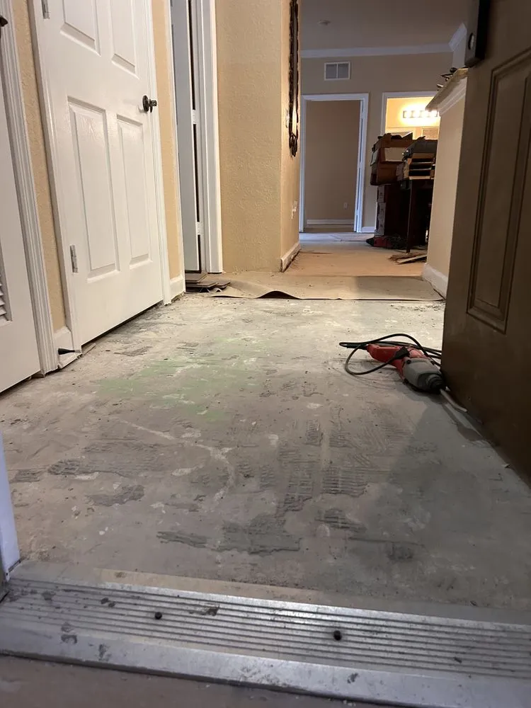 Top-rated yard cleanup service in Davenport, FL - Jorandall Services