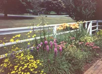 Local garden landscaping experts serving Waterford, CT - Jordan Brook Lawncare & Gardening