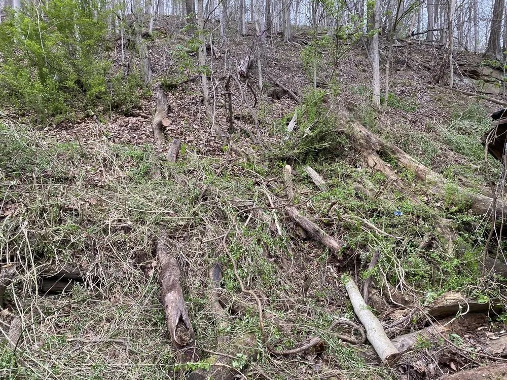 Expert garden landscaping experts serving Charleston, WV - Jordan Landscaping