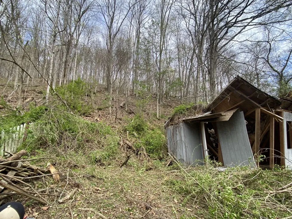 Custom yard cleanup service in Charleston, WV by Jordan Landscaping