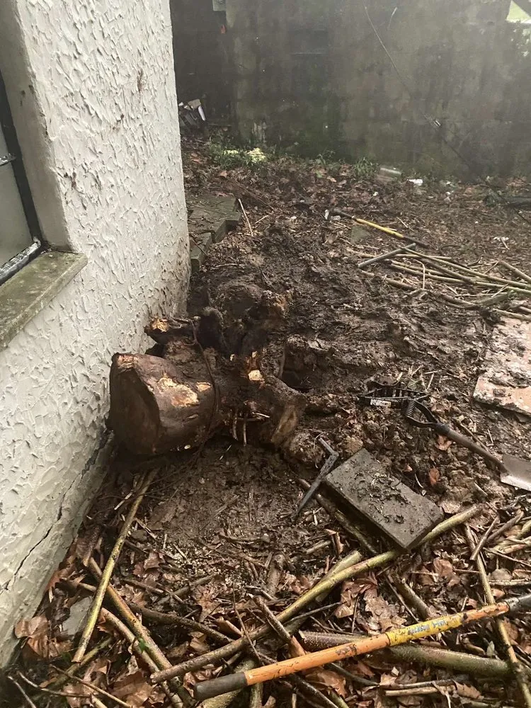 Top-rated lawn care service for homes in Charleston, WV by Jordan Landscaping