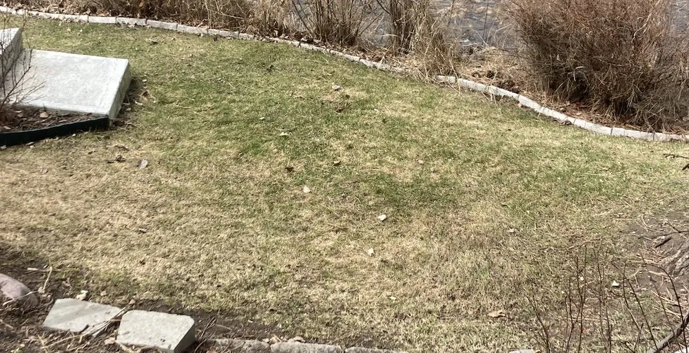 Reliable outdoor landscaping experts serving Missoula, MT - Jordan Lawn and Landscape