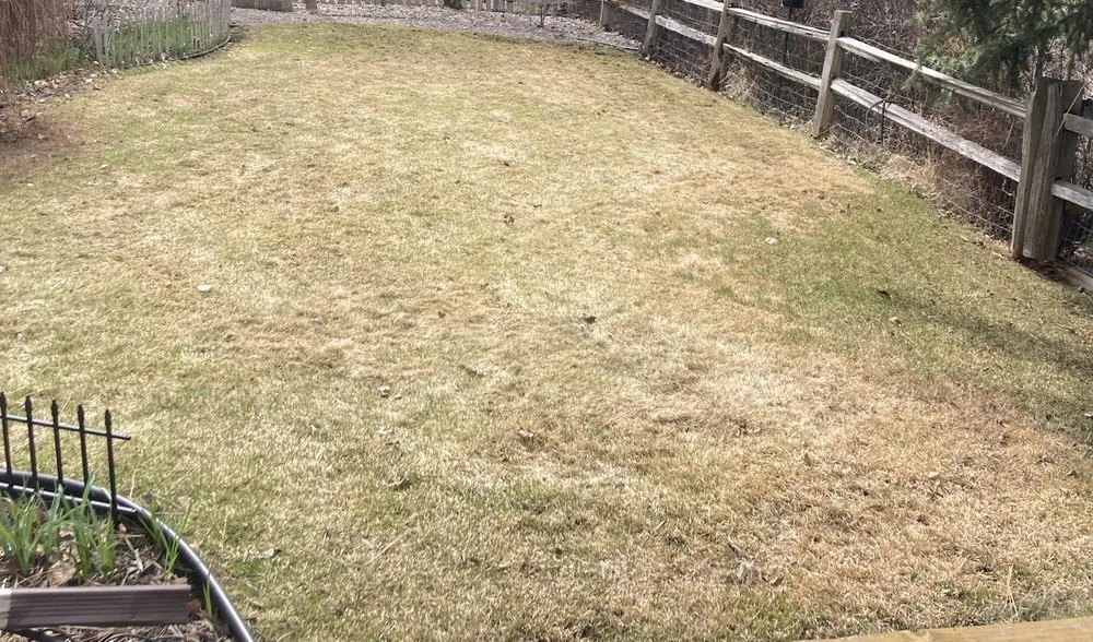 Professional landscape installation in Missoula, MT by Jordan Lawn and Landscape