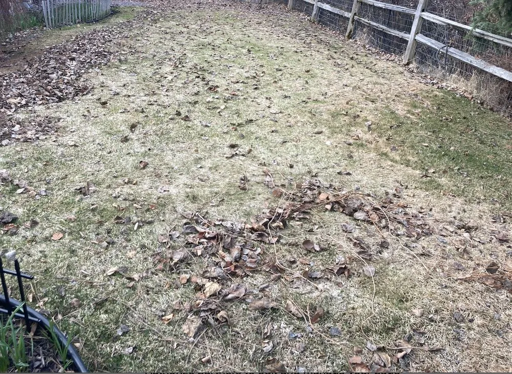 Top-rated outdoor landscaping for outdoor upgrades across Missoula, MT - Jordan Lawn and Landscape