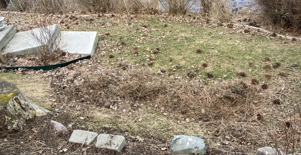 Affordable garden landscaping experts serving Missoula, MT - Jordan Lawn and Landscape