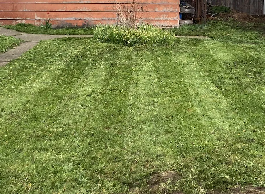 Reliable lawn mowing service in Missoula, MT by Jordan Lawn and Landscape