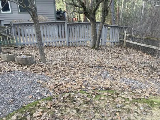 Jordan Lawn and Landscape Logo