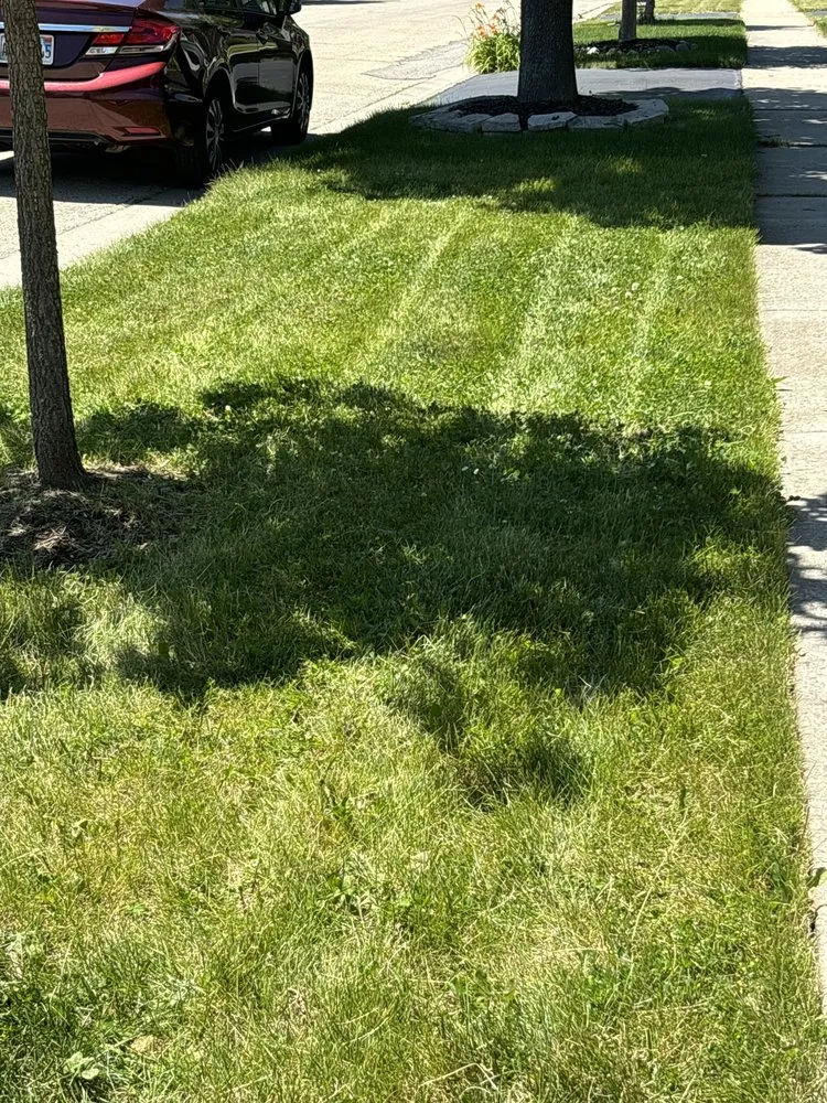 Trusted outdoor landscaping in Chicago, IL - Jordan Lawn Care & Snow Removal