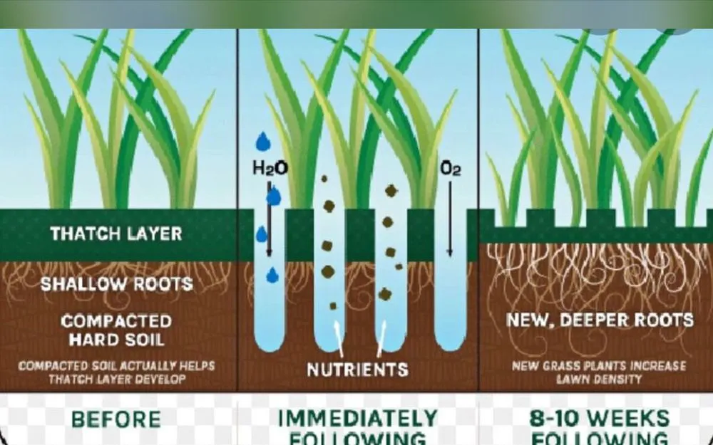Reliable landscaping services in Chicago, IL - Jordan Lawn Care & Snow Removal