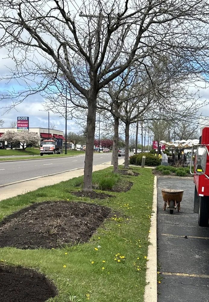 Local landscape design in Chicago, IL by Jordan Lawn Care & Snow Removal