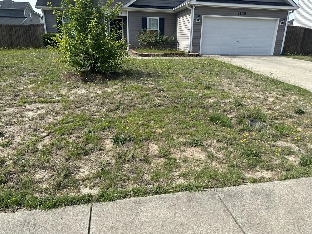 Custom yard cleanup service experts serving Hope Mills, NC - Jordan Lawn Care