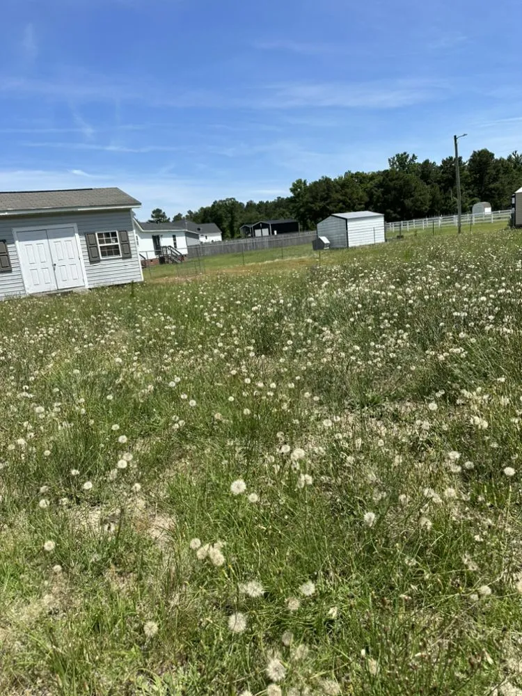 Expert landscape installation in Hope Mills, NC by Jordan Lawn Care