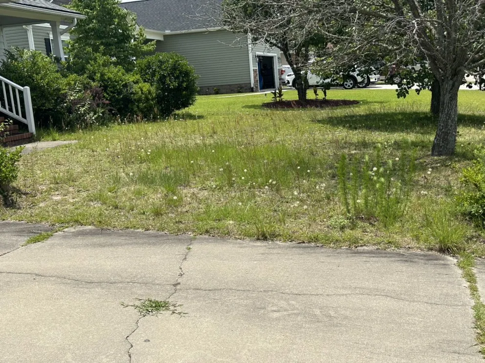 Custom residential landscaping in Hope Mills, NC - Jordan Lawn Care