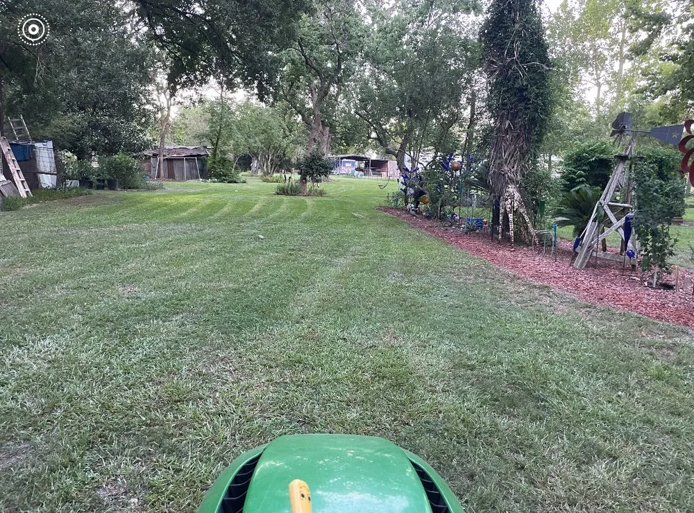 Local yard cleanup service for homes across Webster, TX - Jordan Lawn Care