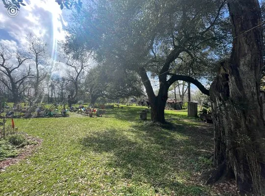 Jordan Lawn Care Logo