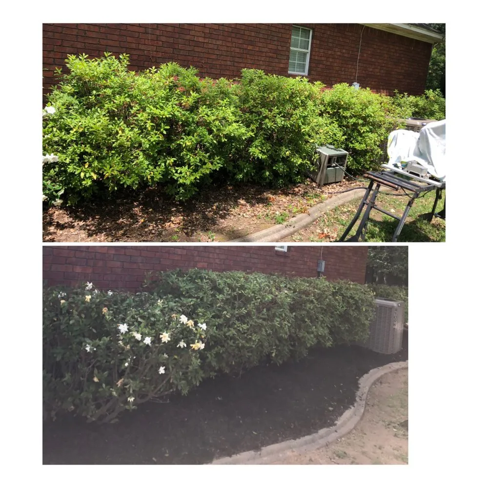 Expert outdoor landscaping in West Monroe, LA by Jordan Lawn
