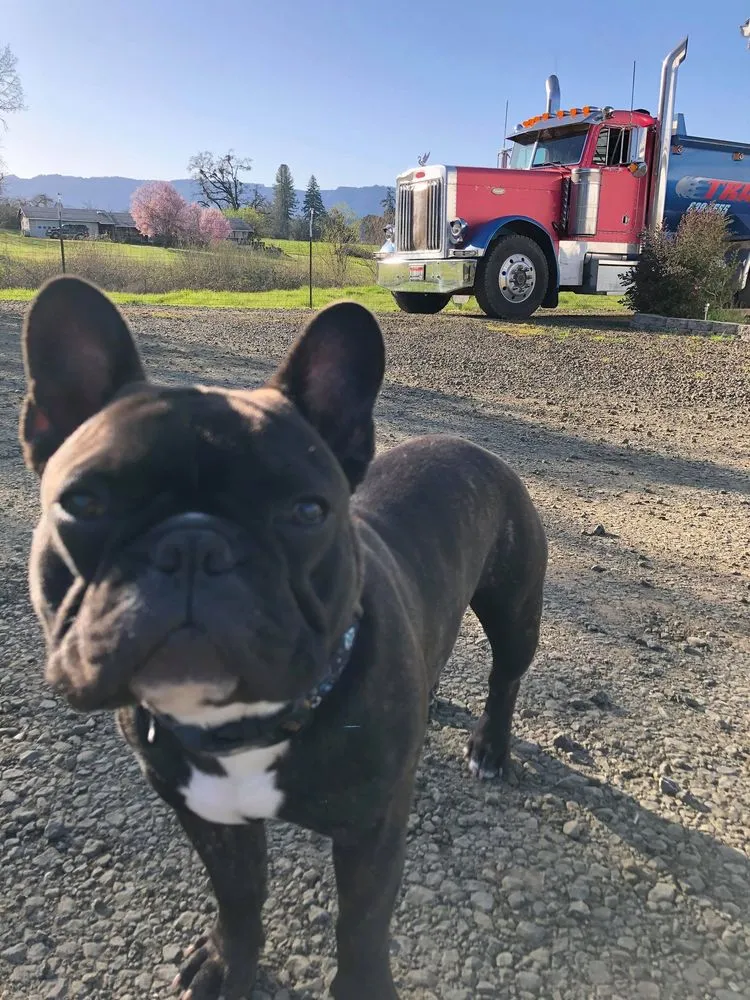 Custom residential landscaping with custom design across Roseburg, OR - Jordan Rock