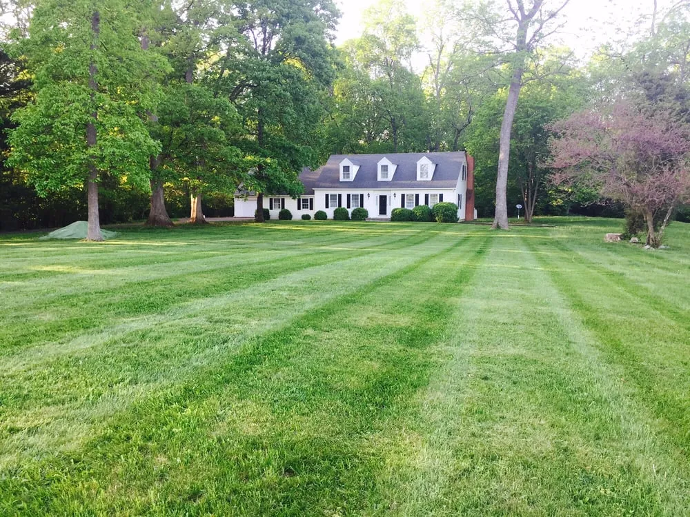 Affordable residential landscaping for residential properties in Stephenson, VA by Jordan Springs Lawn Care