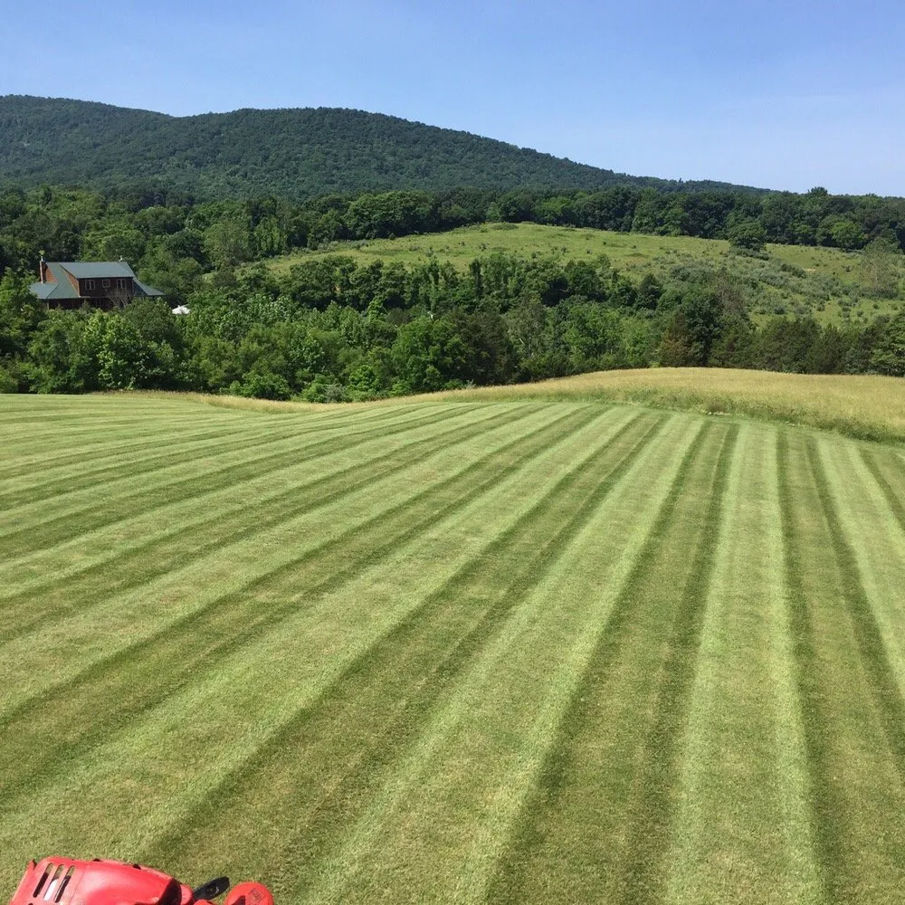 Professional landscape installation in Stephenson, VA by Jordan Springs Lawn Care