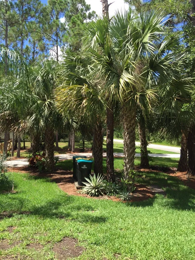Trusted residential landscaping experts serving Palm Bay, FL - Jordan's Complete Lawn Care & Landscape