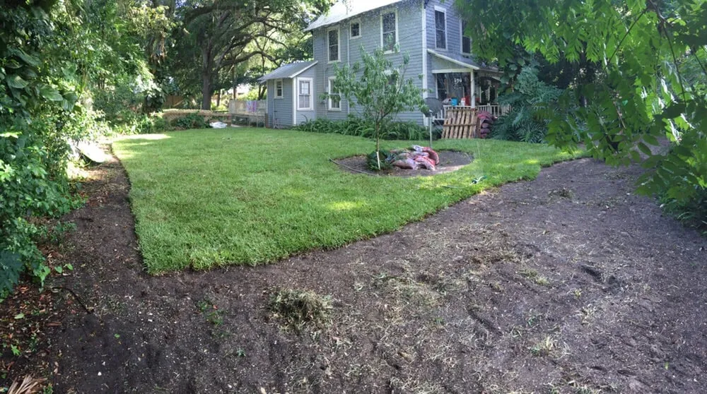 Professional yard cleanup service in Palm Bay, FL - Jordan's Complete Lawn Care & Landscape